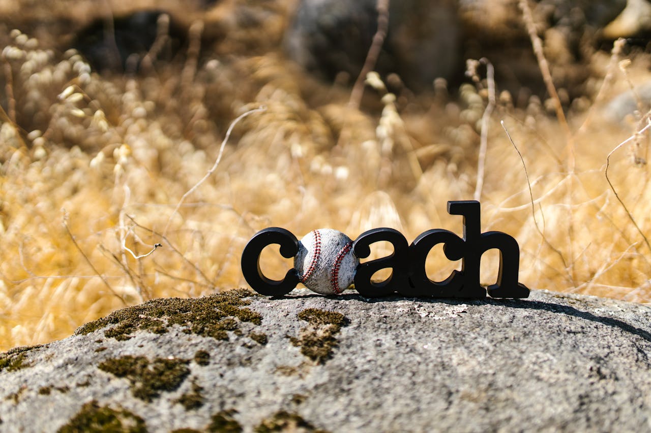 Creative display of a baseball with the word 